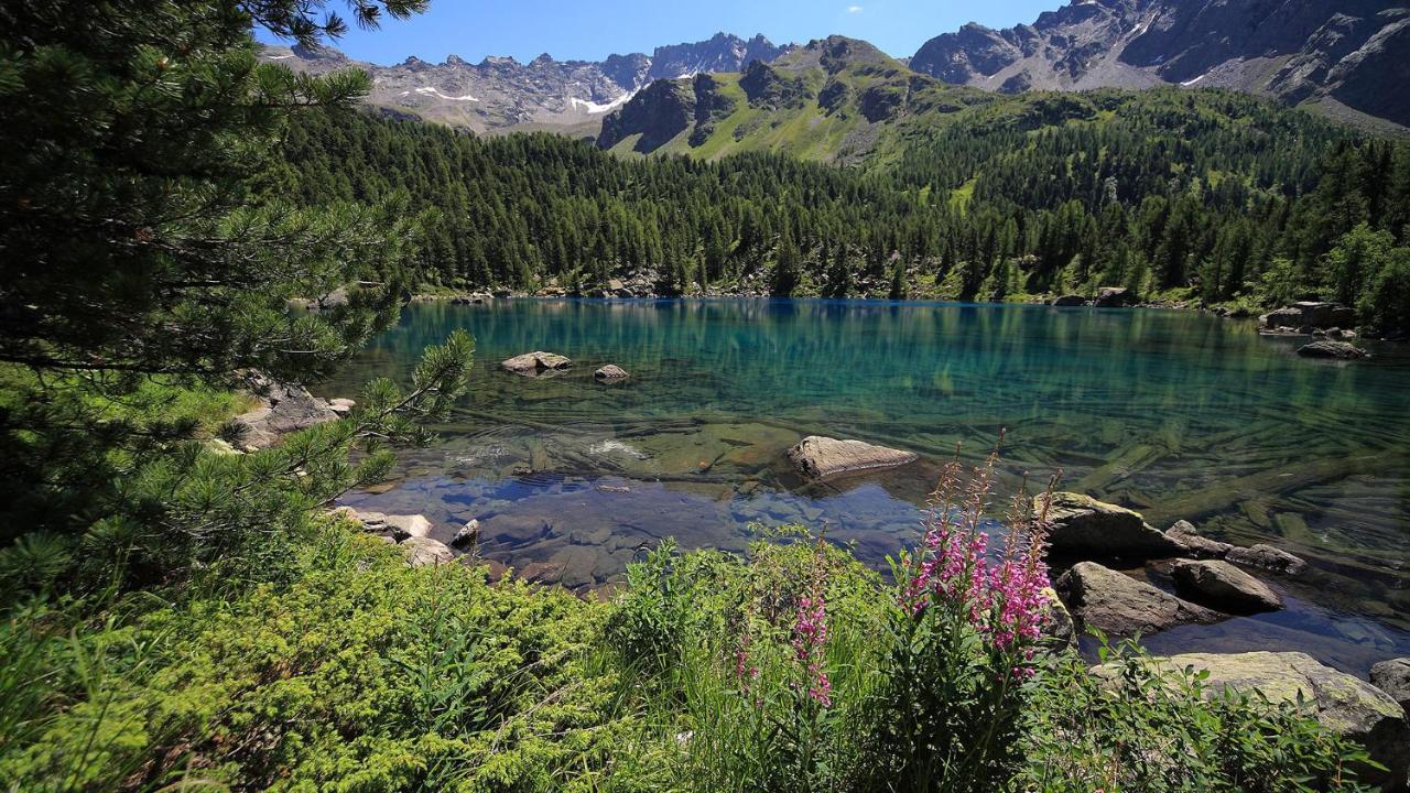 Ca' Del Borgo, Rooms & Suites Poschiavo Eksteriør billede